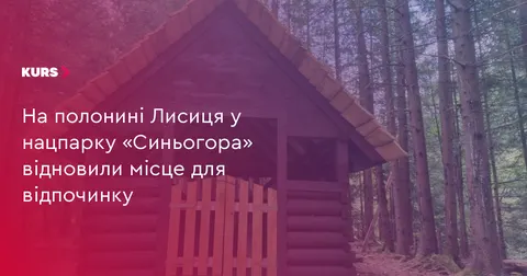 На полонині Лисиця в нацпарку «Синьогора» оновили місце для відпочинку