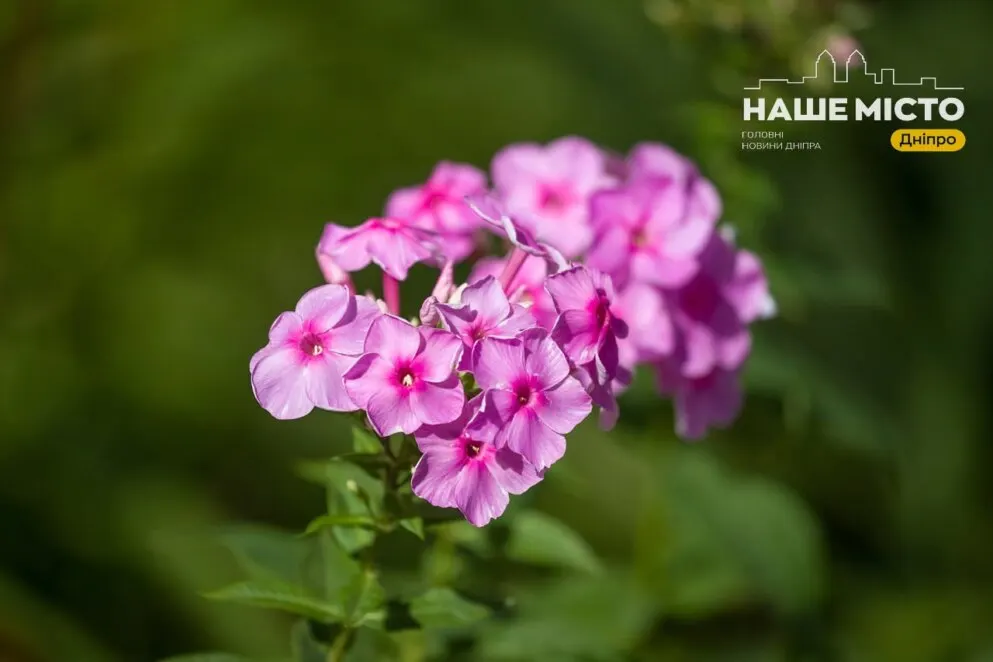 5 серпня: день пам’яті Євсигнія Антіохійського та народні вірування