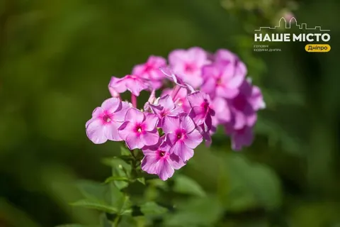 5 серпня: день пам’яті Євсигнія Антіохійського та народні вірування