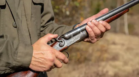 У Раді пропонують дозволити полювання як відпочинок: зоозахисники проти