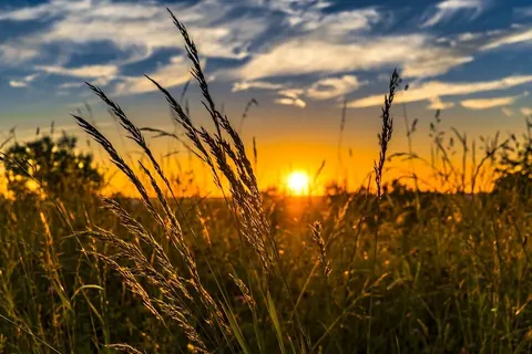 Вихідні на Львівщині: тепло і сонячно, але вранці можливий туман