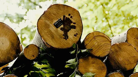 Дрова на Буковині: ціни зросли на 15%, черги на доставку — до місяця