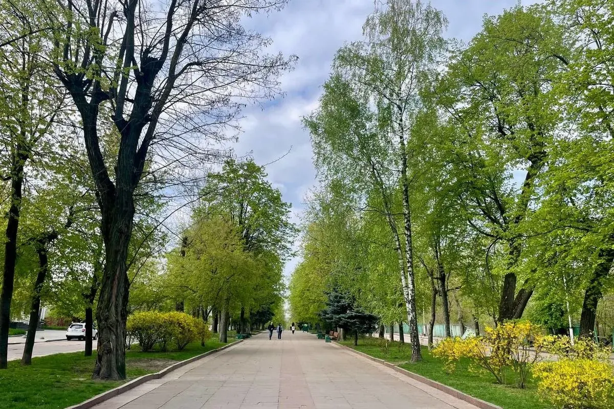 Шодуарівський парк у Житомирі: повернення історичної назви та що там подивитись