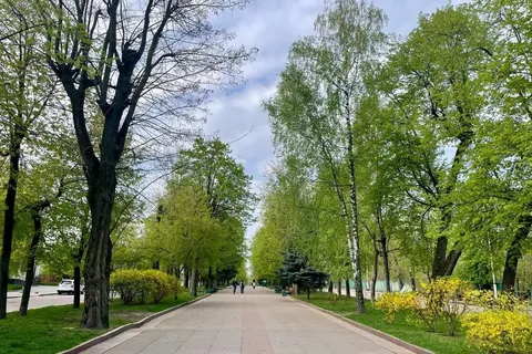 Шодуарівський парк у Житомирі: повернення історичної назви та що там подивитись