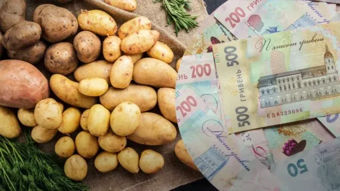 Картопля взимку може подорожчати на 40%: коли робити запаси