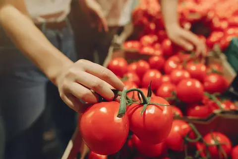 Новий сенсор дозволить перевіряти продукти вдома на 16 показників