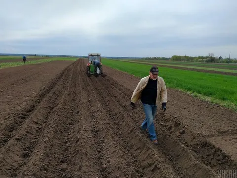 Ціна гектара землі в Україні зросла до 80,5 тисячі гривень