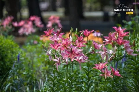 Макарій Канівський і передсвяття Різдва Богородиці: що варто знати про 7 вересня